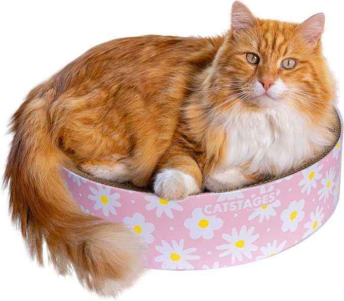 Catstages Scratch & Snuggle 2-in-1 Cat Scratcher & Lounger, Corrugated Cardboard Scratching Pad, Bowl-Shaped Design for Kittens & Indoor Cats up to 15 lbs, 16"