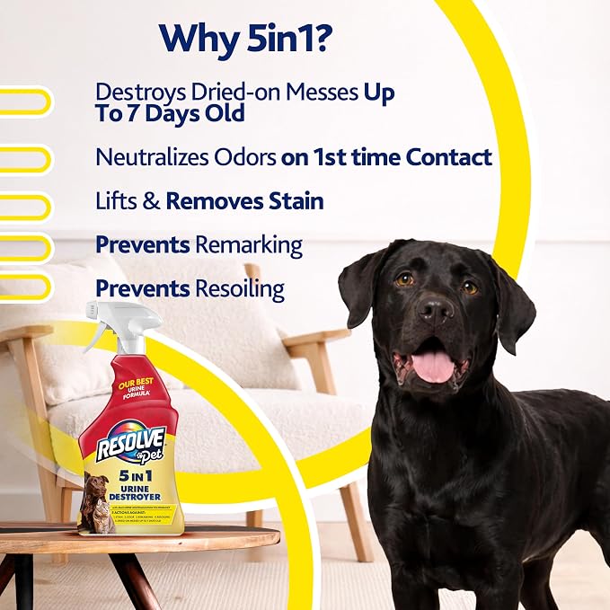 Resolve 5-in-1 Urine Destroyer Carpet Cleaner Spray – Urine Eliminator for Pet Stains & Odors Up to 7 Days Old, 22oz
