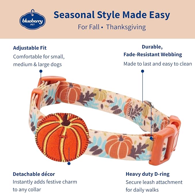 Blueberry Pet Fall Dog Collar, Small Dog Collar for Female & Male Dogs, Extra Small Dog Collar with Pumpkin Décor, Adjustable for Neck 12"-16", Eco-Friendly, Nickel-Free Hardware