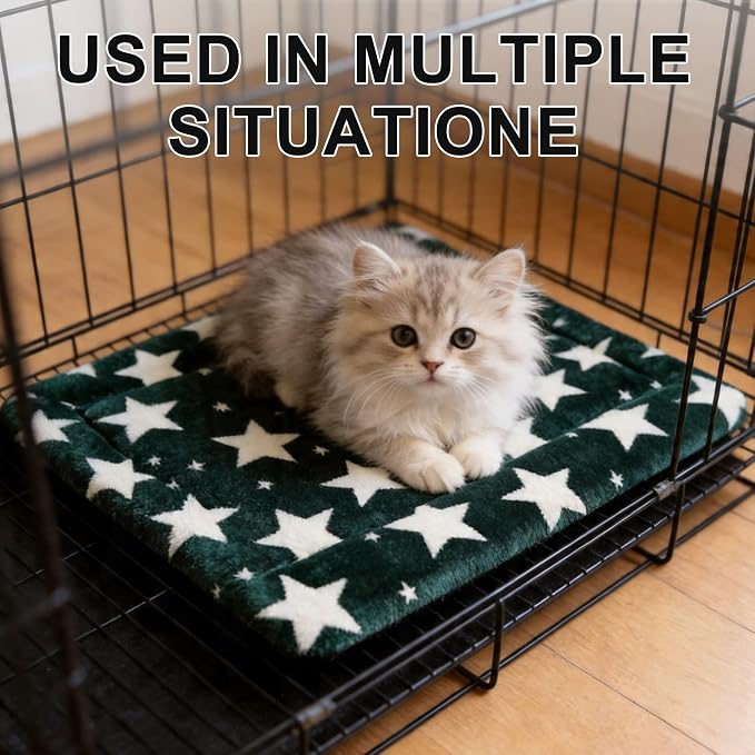 Dog Bed Mat – Soft & Comfortable Dog Kennel Pad for Crate – Durable Crate Bed & Mat for Dogs & Cats – Ideal for Crate, Kennel, and Home Use (Big&Little Stars Green, XS(18"*14"*1.5"))
