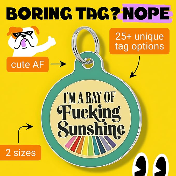 Bad Tags Personalized Dog and Cat ID Tags in 25+ Designs and 2 Sizes - 5 Lines of Custom Engraved Text - Funny Cute Personalized Pet Tags (I'm A Ray of F*cking Sunshine - Teal, Large (1.25 inch))