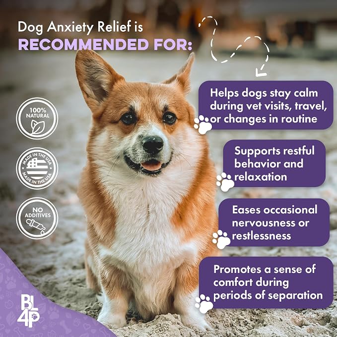 BestLife4Pets Pet Relax Dog Calming Anxiety Relief - 400 Pills | Long-Lasting Dog Relaxants for Stress Relief, Natural Solution for Separation Anxiety, Travel, Thunderstorms, and Fireworks