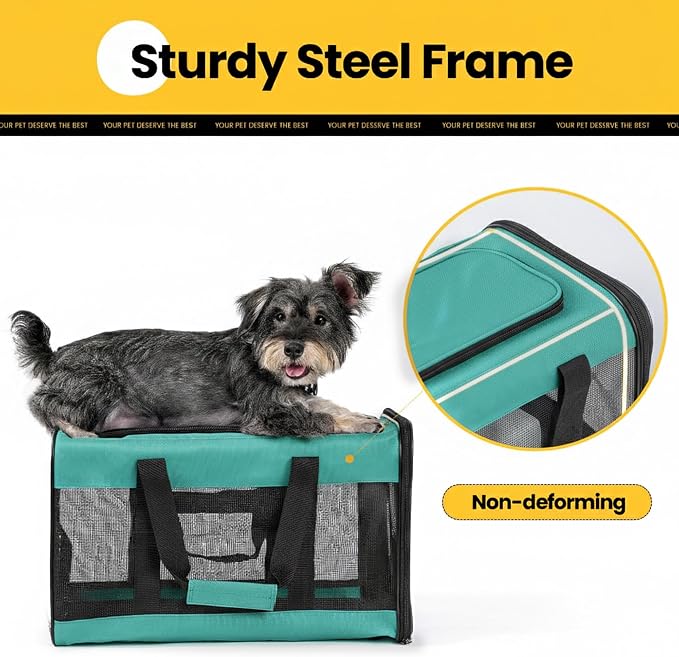 Conlun Dog Carrier Soft Sided, Large Cat Carrier with Inner Safety Leash, Pet Transport Carrier for Large Cats and Medium Dogs up to 20 Lbs, Collapsible Travel Puppy Carrier Bag -Turquoise L