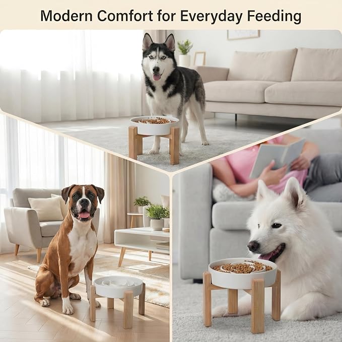 Elevated Slow Feeder Dog Bowl Large Breed, 8.8 Inch Ceramic Slow Eating Bowl with Screw-Assembled Bamboo Stand, Anti-Choking Raised Maze Design for Medium to Large Dogs, 3.2 Cup, White