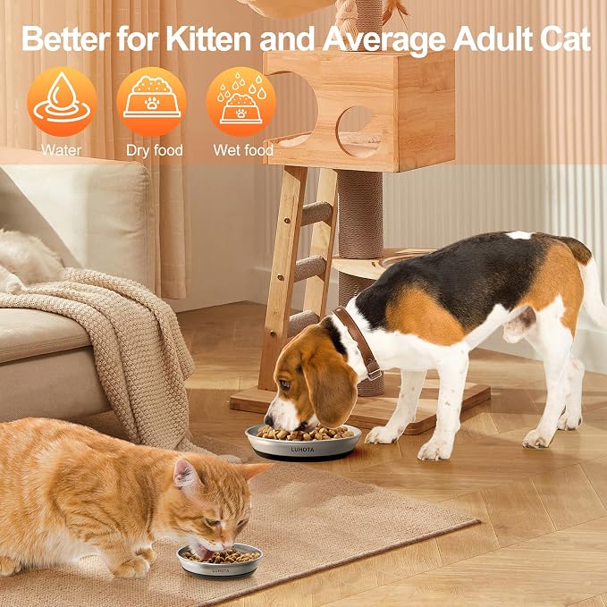 2 Pcs Stainless Steel Cat Bowls, Shallow Wide Food Water Bowls with Non-Slip Silicone Base, Dishwasher Safe for Cats Kittens Small Dogs Indoor Outdoor Use