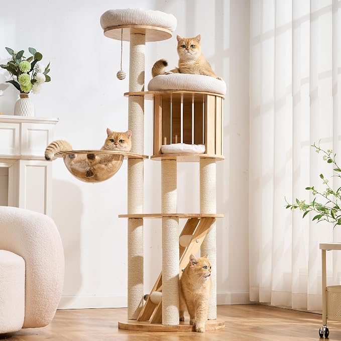 Modern Cat Tree Tower with Scratching Post, 61.5in Tall Cat Tree for Indoor Cats, Multi-Level Solid Wood Cat Furniture with Ladder, Cozy Cat Beds, Cat Condo, Capsule Nest, Dangling Toy, Natural