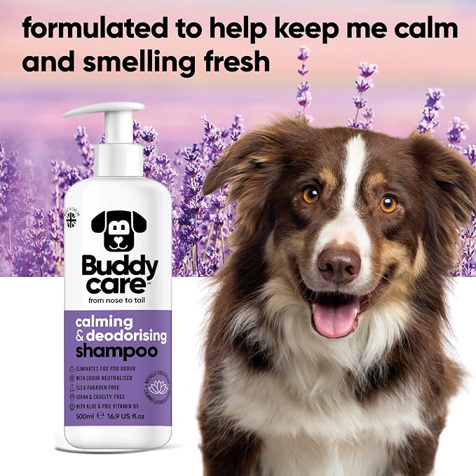 Calming & Deodorising Dog Shampoo by Buddycare | Lavender Scented | Itchy Skin Relief for Smelly Dogs | Deep Cleansing Shampoo for Dogs Puppy Sensitive Skin | with Aloe & Vitamin B5 (16.90oz)