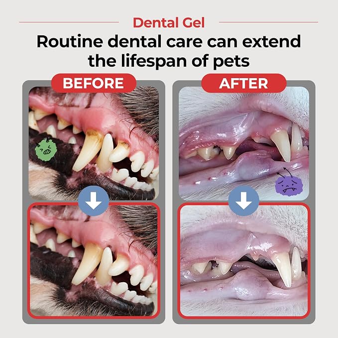 JAYU PET Dental Gel - Dog Cat Toothpaste, Removing Plaque and Tartar, Teeth Cleaning & Breath Freshener, Puppy Kitten Dental Care with Vet Approved (2.8 Ounce)