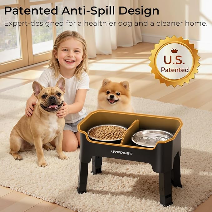 URPOWER Mess Proof Elevated Dog Bowls, High Wall Splash Guard Design, 4 Height Adjustable Raised Bowl Stand, 2 Stainless Steel Bowls, Non-Slip Food Water Set for Small Dogs