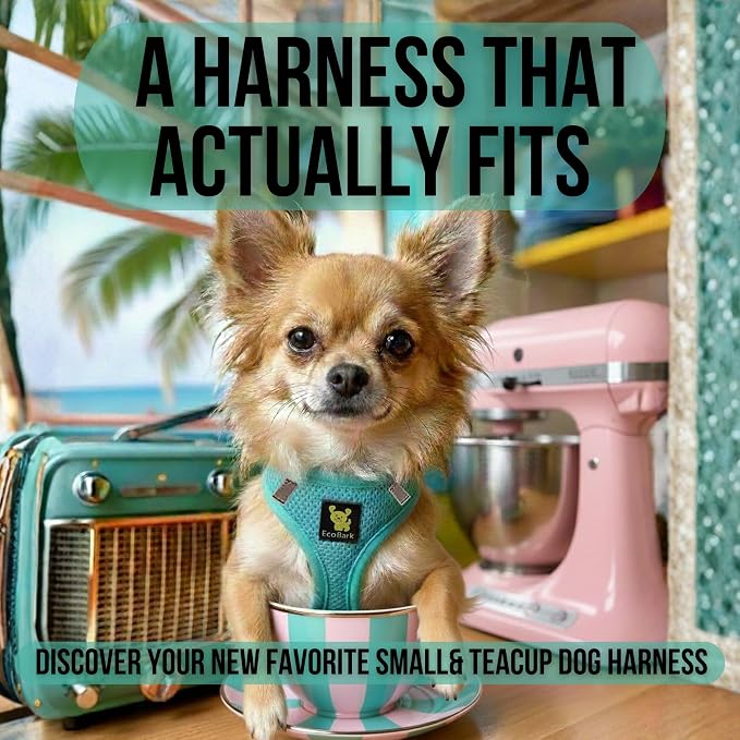 EcoBark Step in Dog Harness - Under 26 lbs (Mint)
