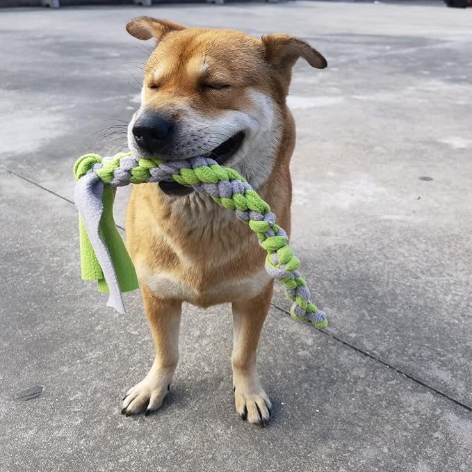 Dewonch Dog Fleece Rope Teaser Toy as Replacement to Chase and Tug (B-2PCS)