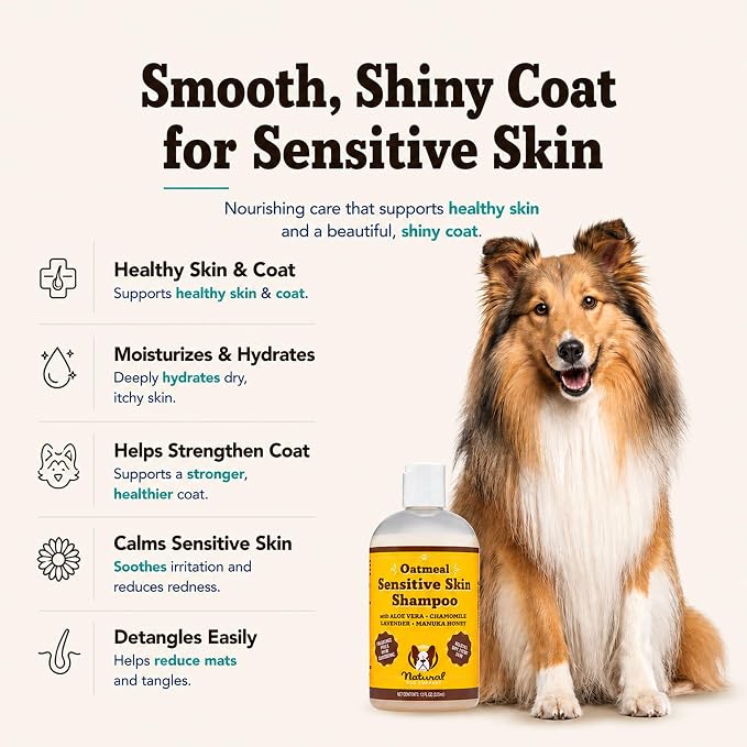 Natural Dog Company Sensitive Skin Dog Shampoo – Hypoallergenic Oatmeal Anti Itch Shampoo for Dogs, Gentle Puppy & Dog Wash with Aloe Vera, Manuka Honey & Chamomile, Odor Control, 12 oz