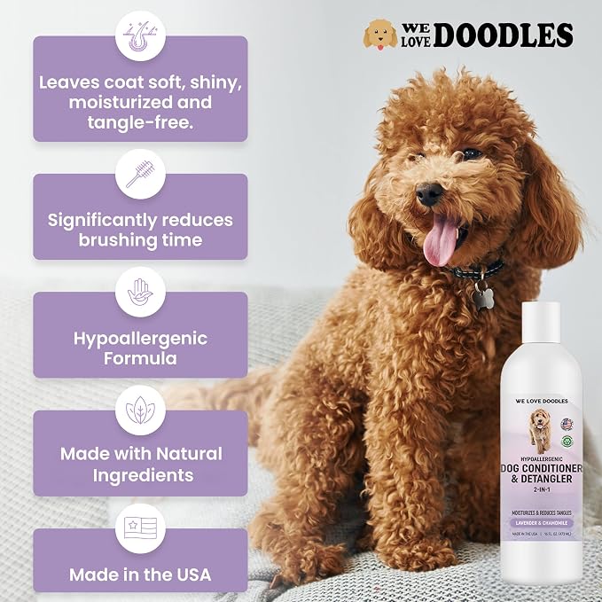 2-in-1 Dog Conditioner & Detangler, for Doodles & Poodles, Lavender, 16OZ | Best Conditioner for Dogs With Allergies & Itchy Skin, Hypoallergenic & Tearless For Goldendoodle Puppy, Detangling Formula