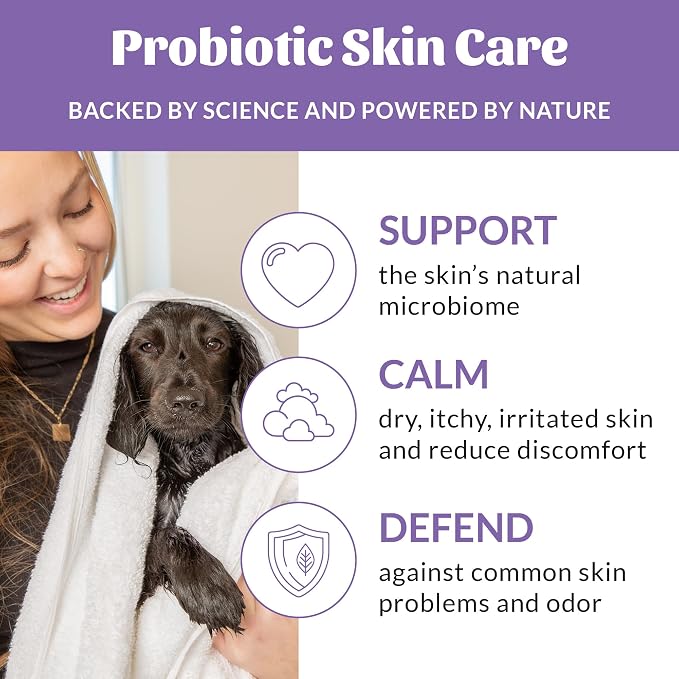 SKOUT'S HONOR Probiotic Dog Shampoo and Conditioner - Lavender, 16 oz | Hydrating, Natural 2-in-1 for Itchy Skin, Microbiome-Friendly with Avocado Oil & Omega-3s, Paraben & Sulfate-Free