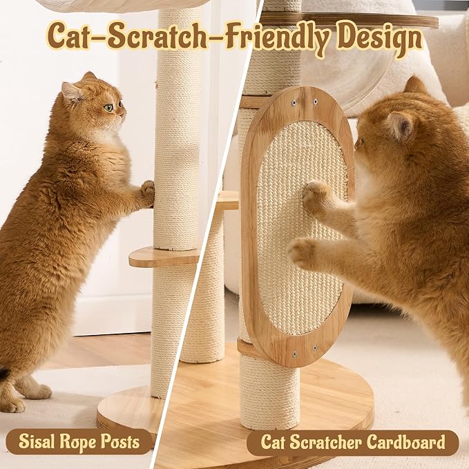 Modern Solid Wood Cat Tree for Indoor Cats Up to 15lbs, 49" Tall Cat Tower with Scratching Posts & Scratcher, Large Cat Bed, Hammock, Capsule Nest, Dangling Ball, Multi-Level Cat Furniture