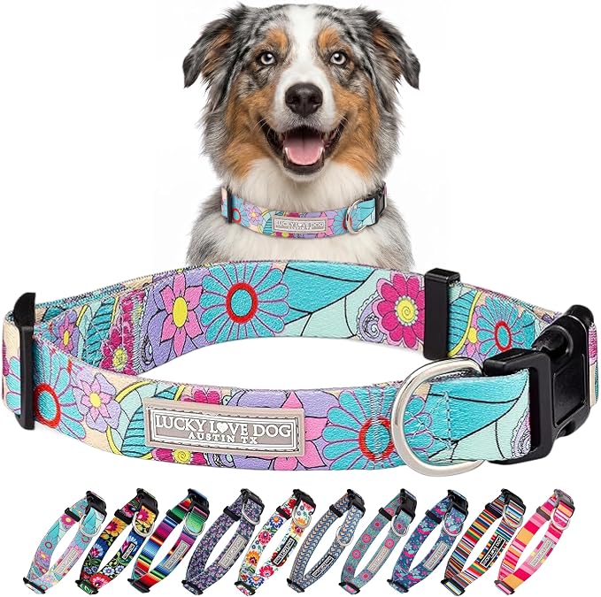 Lucky Love Dog Collars, Vivid Flower Pattern Dog Collars for Medium Female Dogs, Spring & Summer Floral Themed Print, Caroline, Medium