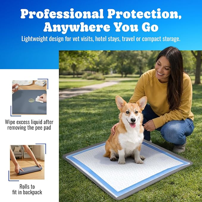 Skywin TidyFriend Dog Pee Pad Holder - Fits Up to 24” x 24” Pee Pad Holder for Dogs - Stable Grip, Soft Edges, Quick Wipe Silicone Surface Dog Pad Holder for Indoor Flooring Protection (Dark Grey)