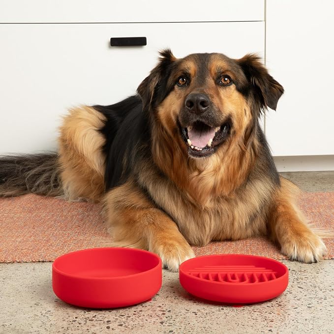 Should We Go? Slow Feeder Dog Bowls - Medium Size Silicone Slow Eating Dog Bowl for Puppies & Dogs with Suction Cup -Dishwasher-Safe, Lick Mat Design, Reduces Gulping,for All Breeds,7.5”x1.5”- Cherry