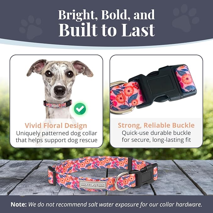 Lucky Love Dog - Adjustable Dog Collar with Easy Click Buckle for Medium, Durable, & Comfortable for Male & Female Dogs, Pet Collar for Puppies & Adult Dogs - Rosie, Medium