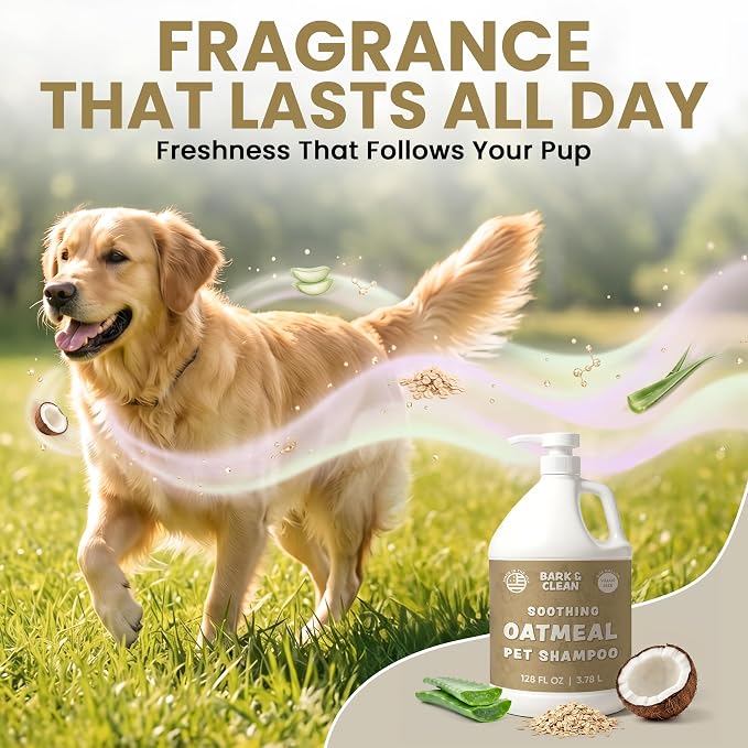 Oatmeal Dog Shampoo for Itchy Dry Skin, 1 Gallon with Pump - Hypoallergenic Anti-Itch Allergy & Sensitive Relief, Smelly Dogs, Aloe Vera Coconut Oil, Sulfate and Paraben Free, Made in USA Bark & Clean
