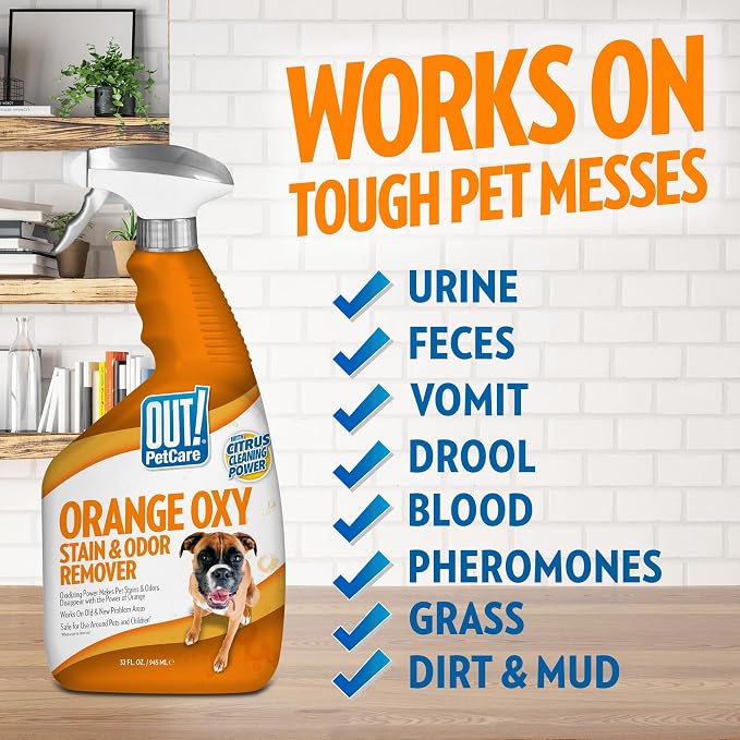 OUT! PetCare Complete Oxy Stain Remover, Dog Stain Carpet Cleaner, 32oz | Upholstery Cleaner, Odor Eliminator, Stain Remover Spray, Pet Carpet Cleaner, Dog Urine Remover, Spot Cleaner, Floor Cleaner