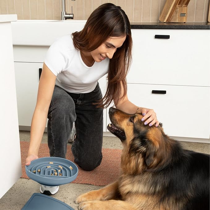 Should We Go? Slow Feeder Dog Bowls - Large Size Silicone Slow Eating Dog Bowl for Puppies & Dogs with Suction Cup -Dishwasher-Safe, Lick Mat Design, Reduces Gulping,for All Breeds,9.5”x1.5”- Ocean