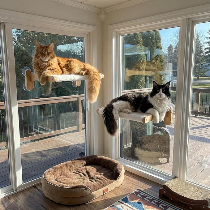 Cat Window Perch with Bird Feeder,Suction Cup Window Cat Bed for Large Cats | Solid Wood Frame, Plush Washable Cover. Suction Cups Support Up To 50 Lbs On Flat Glass. Foldable Design, Tool-Free Setup.