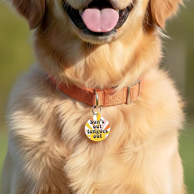Bad Tags Personalized Dog and Cat ID Tags in 25+ Designs and 2 Sizes - 5 Lines of Custom Engraved Text - Funny Cute Personalized Pet Tags (Sun's Out Tongues Out, Large (1.25 inch))