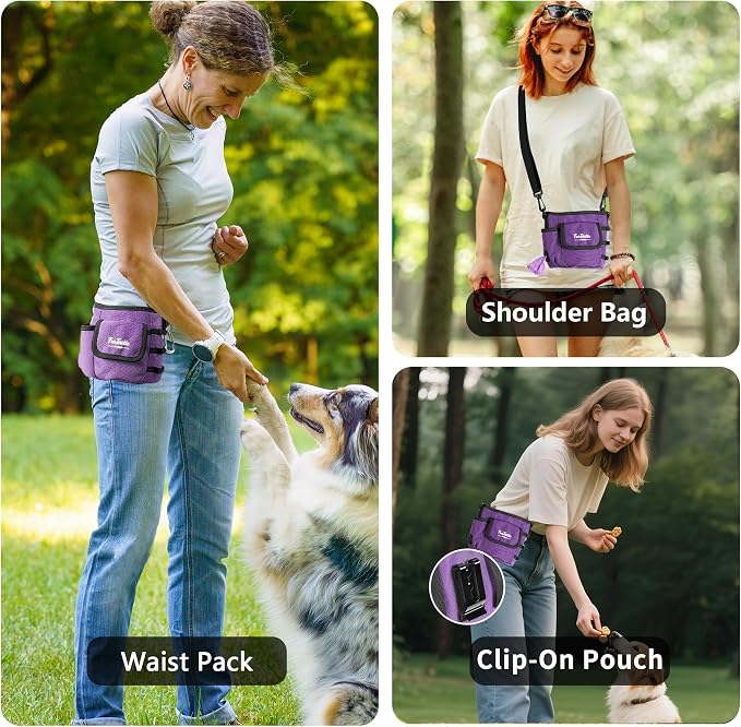 Dog Treat Pouch with Magnetic Closure for Pet Training | 3-Way Wear Treat Bag, 900D Waterproof Fabric, 4 Storage Spaces for Walking, Hiking, Agility, Training & Daily Rewards