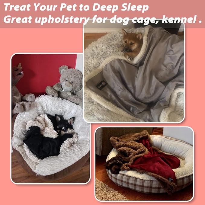 Kritter Planet Dog Blankets for Small Dogs, Soft Puppy Blanket, Pet Blankets for Cats, Lightweight & Washable, Perfect for Dog Beds, Car Seats, Creat, 30x40 inches