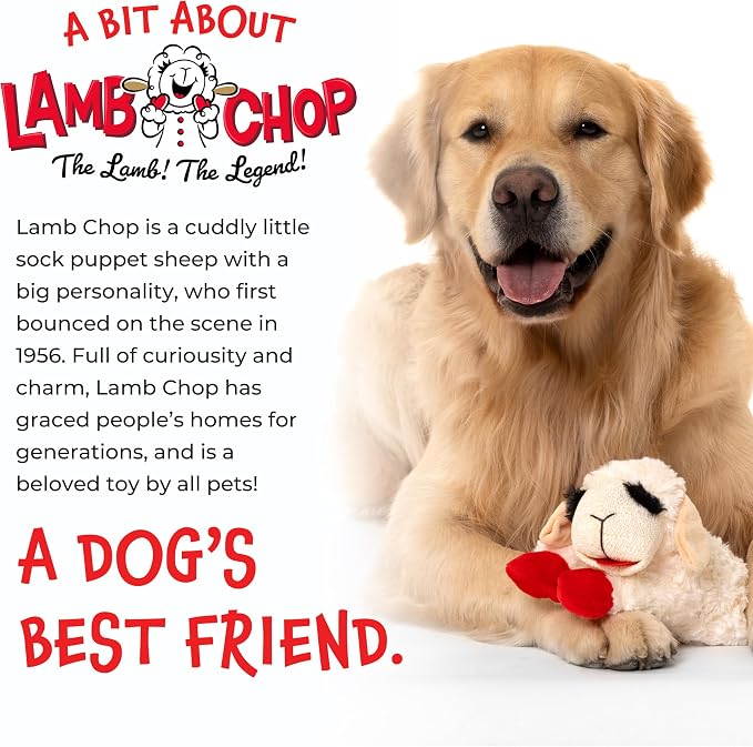 Multipet Lamb Chop Dog Plush Toy - Squeaky Toy for Small & Medium Dogs - Extra Soft Plush - Stuffed Animal for Cuddling & Playing (10", Cream, 5 Squeakers)