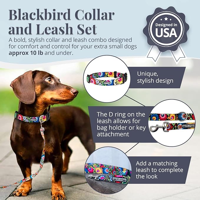 Lucky Love Dog - Easy Click Buckle Dog Collar with Leash Set Combo, Durable & Comfortable for Male & Female Dogs, Pet Collar for Small Dogs, Secure Fit - Blackbird Combo, X-Small