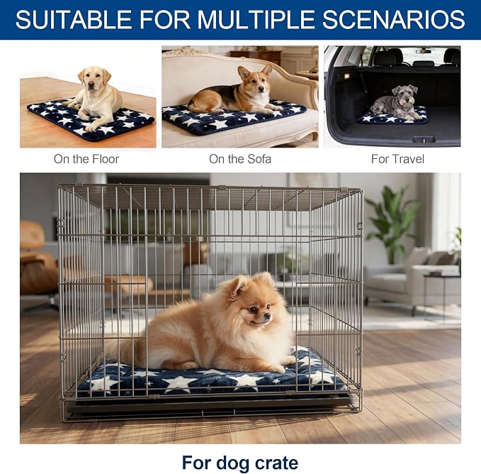 Washable Dog Bed Mat With Anti-Slip Bottom, Deluxe Plush Memory Foam Crate Pad & Waterproof Outdoor Kennel Mat For Dogs & Cats-Durable Crates Beds, Large Medium Small Puppy Size 36" x 24",Blue