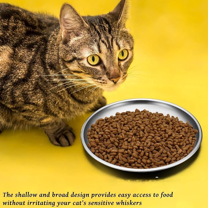 Domensi 12 Pieces Stainless Steel Cat Bowl Metal Pet Food Dish Beard Fatigue Relief Replacement Easy to Clean Indoor Wet Feeding Flat Plates for Dogs Kitten and Other Small Animals(6.7 Inch,Normal)