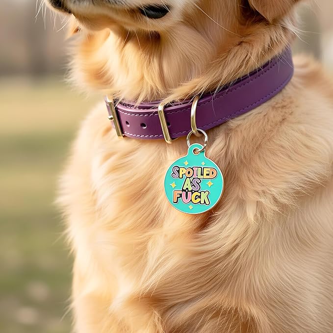 Bad Tags Personalized Dog and Cat ID Tags in 25+ Designs and 2 Sizes - 5 Lines of Custom Engraved Text - Funny Cute Personalized Pet Tags (Spoiled As F*ck, Large (1.25 inch))