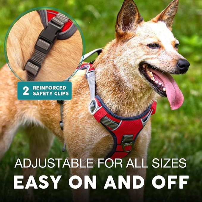Embark Adventure Medium Dog Harness – No-Pull, Reflective Trim, Military-Grade Nylon, Front Clip with Gel-Lined Handle