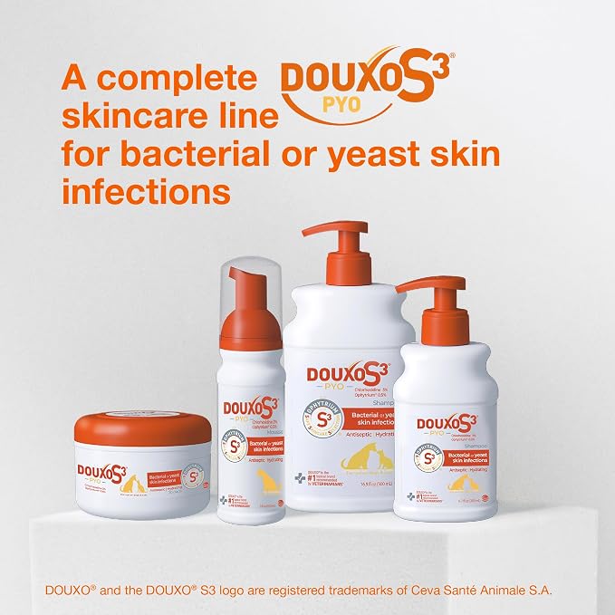 Douxo S3 PYO Chlorhexidine Shampoo For Dogs, Medicated Shampoo Antibacterial & Antiseptic, Yeast Infection Treatment for Dogs & Cats, Clinically Proven, 16.9 fl oz