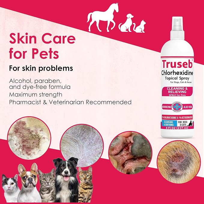 Truseb Advanced Strength Medicated Chlorhexidine for Dogs Cats Horses Skin Spray with Aloe Vera - Medicated Ketoconazole Spray for Skin Irritation, Hot Spots, Redne (Medicated Ketoconazole Spray, 8oz)