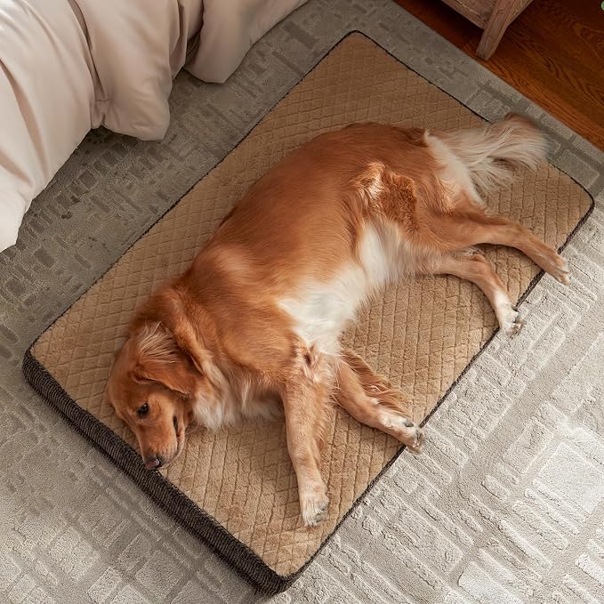 JOEJOY XL Dog Bed for Large Dogs up to 80 lbs, Fits 41" & 42" Crates, Orthopedic Egg Crate Foam Pet Bed with Washable Cover & Waterproof Liner, Non-Slip Bottom (41"x27", Brown)