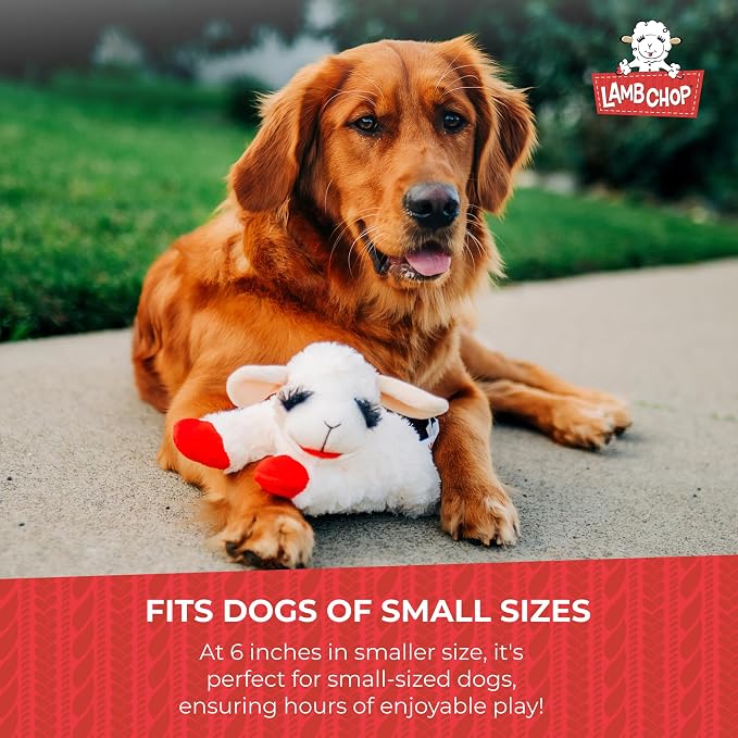 Multipet Lamb Chop Dog Plush Toy-Squeaky Toy for All Dogs - Extra Soft Plush - Stuffed Animal Dog Toy for Cuddling & Playing - Cute Pet-Toy (6", Cream) (Pack of 2)