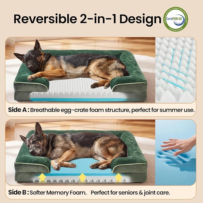 OhGeni Orthopedic Dog Bed Couch Big Cat Sofa for Extra Large Sized Pets with Memory Foam, Machine-Washable Waterproof Removable Cover, Soft Comfortable Fabric, 44-inch (Green)