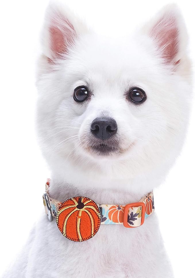 Blueberry Pet 8 Patterns Thanksgiving Fall Harvest Festival Pumpkin Designer Adjustable Dog Collar with Decoration, Large, Neck 18"-26"