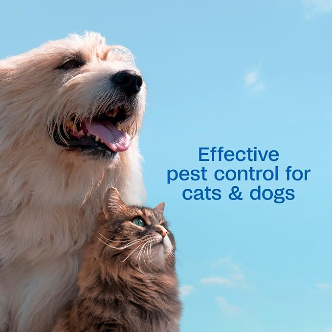 ADAMS Plus Flea & Tick Shampoo with Precor for Dogs, Cats, Puppies & Kittens, Flea Shampoo to Treat Infestations, Kills Ticks, Fleas, Flea Eggs & Lice, Cleans and Conditions Coat, 1 Gallon