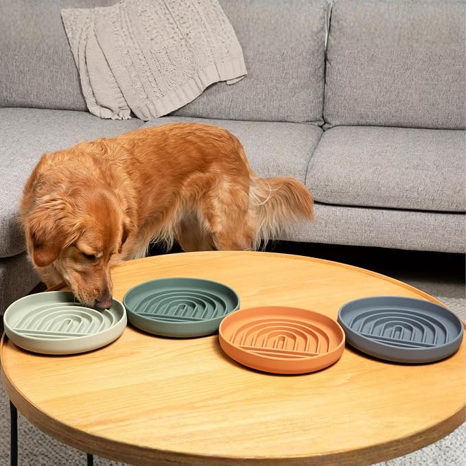 Should We Go? Slow Feeder Dog Bowls - Large Size Silicone Slow Eating Dog Bowl for Puppies & Dogs with Suction Cup -Dishwasher-Safe, Lick Mat Design, Reduces Gulping,for All Breeds,9.5”x1.5”- Sage