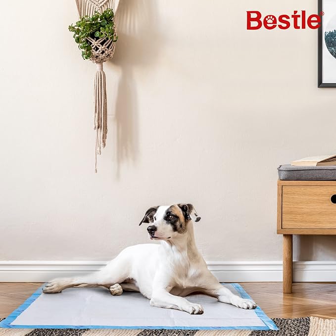 BESTLE Extra Large Pet Training and Puppy Pads Pee Pads for Dogs 28"x34" -18 Count Super Absorbent & Leak-Proof
