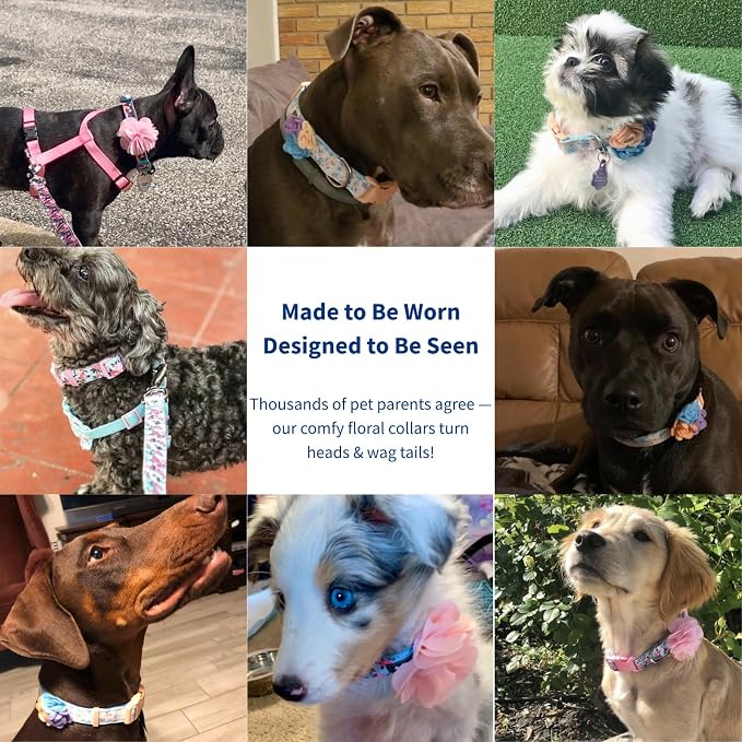 Blueberry Pet Made Well Elegant Floral Print Adjustable Dog Collar in Sleek Black with Pink Artificial Silk Flower, Small, Neck 12"-16"