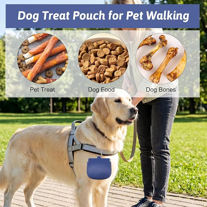 Xinjoduz 1 PCS Silicone Dog Treat Pouch, Auto Closure, Small Pocket Sized Portable Training Bag Holder with Pull Tab & Auto Closing Lid for Easy Pet Travel/Training/Walking (Blue)