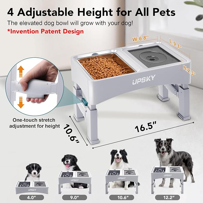UPSKY 3-in-1 Elevated Dog Bowls Set with 4 Height Adjustable Stand, White | 304 Stainless Steel Bowl, No Spill Water Bowl, Slow Food Bowl, Anti-Slip, Dishwasher Safe, Suitable for Small Medium Dogs