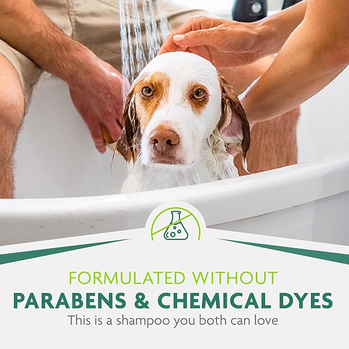 FURminator Sensitive Skin Dog Shampoo, 16 oz | Helps Reduce Itching Due To Dry Skin, Calendula Extract & Menthol For Cooling Sensation, No Parabens Or Dyes
