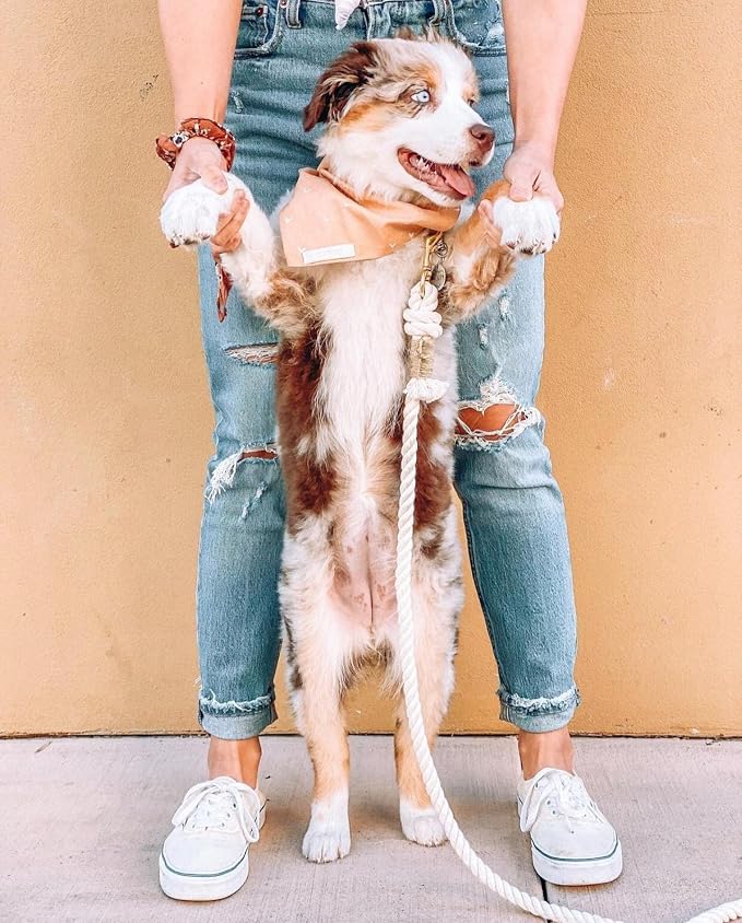 Handmade Rope Leashes for Small Dogs - 5FT Organic Cotton Natural Braided Dog Leash